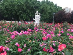 -七里庄(地铁站)