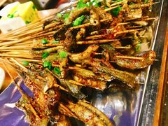 鳝鱼-晓靖轩烧烤(沙河风情店)