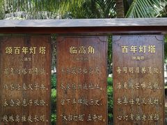 -临高角