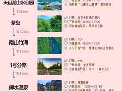 -紫藤园·天目湖大鱼头(南山竹海店)