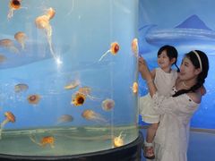 -重庆欢乐海底世界
