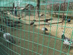 -武汉紫薇都市田园