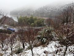 -四明山国家森林公园