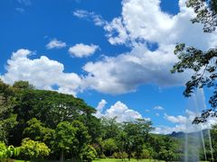 -中国科学院西双版纳热带植物园