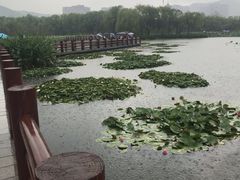 -长兴太湖图影湿地文化园