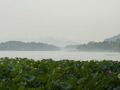 -Joy酒隐(西湖店)