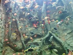 -杭州开元森泊度假乐园