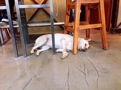 -Cactus墨西哥仙人掌餐厅