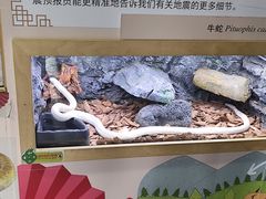 -宁波野生动物园