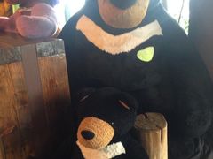 iphone_upload_pic-济州岛泰迪熊博物馆