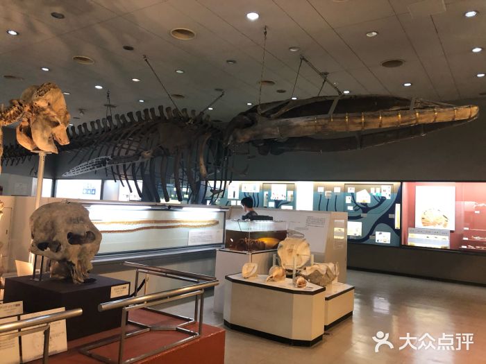大阪市立自然史博物馆图片