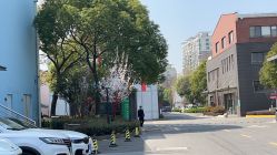 点击看大图 -七色田儿童摄影(静安店)