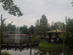 -成飞公园