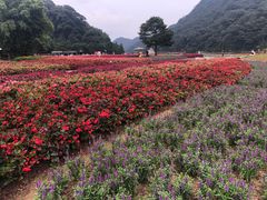 -广州市石门国家森林公园