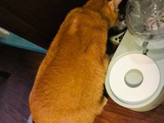 -默迹咖啡馆