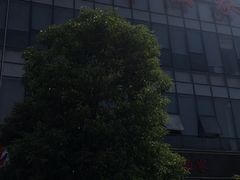 -源华酒家(联世广场店)