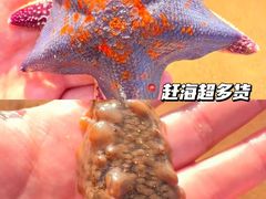 -巧克力渔家.小船海鲜胶东菜(万平口店)