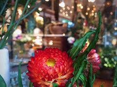 -花筑·扬州个园客栈(瘦西湖东关街店)