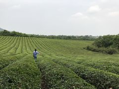 -敬亭山风景名胜区