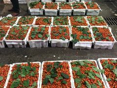 -菜园坝水果市场