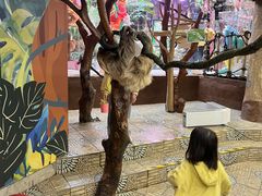 -正佳雨林生态植物园