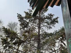 -沈阳辉山风景区