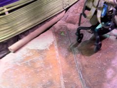 -正佳雨林生态植物园