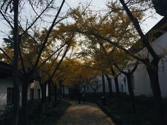 -镇江市南山风景名胜区竹林景区