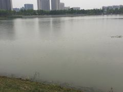 iphone_upload_pic-南翔镇银翔湖公园