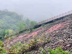 -秦岭终南山世界地质公园翠华山景区