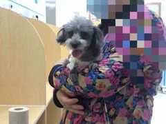 -美联众合动物医院·24h京西诊疗中心