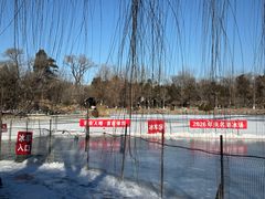 -北京大学赛克勒考古与艺术博物馆