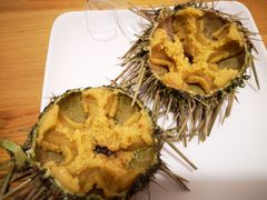 -海胆小馆(东北水饺·春柳店)