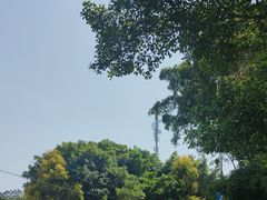 -梵天禅寺