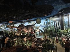 -陕西自然博物馆