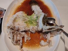 -侨美·唐荔园·40年地道粤菜