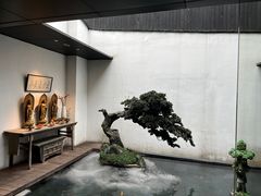 -觀芷隐轩