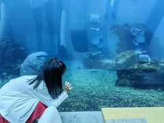 -海棠湾洲际-涛·海底餐厅·美人鱼·自助餐·海底隧道