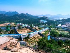 -西霞口神雕山野生动物世界