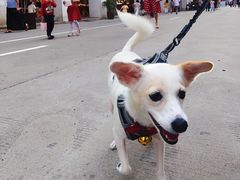 -BE NORMAL CAFE(霞溪路店)