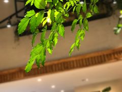-SEN CASTLE城堡西餐(创意设计中心店)
