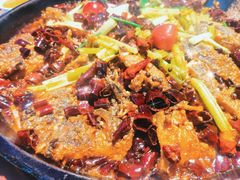 老板恋上鱼-老板恋上鱼(恒隆广场店)