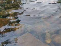 -石台牯牛降景区