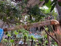 -正佳雨林生态植物园