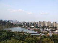 -飞凤山奥体公园