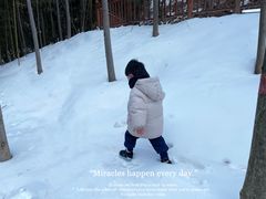 -少华山国家森林公园