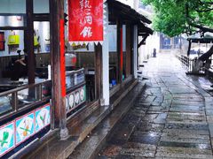 -乌镇东栅景区