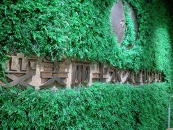 -变美丽半永久纹眉连锁·机器野生眉•洗眉