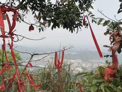-东莞观音山旅游风景区