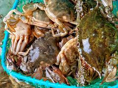 -天云活海鲜家菜馆·海鲜大咖(栈桥店)